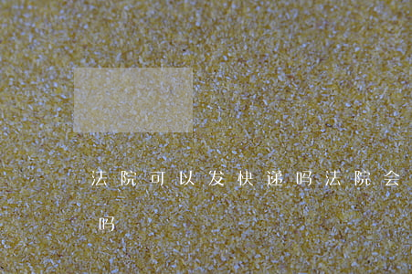 法院可以发快递吗(法院会以快递方式寄传票吗)