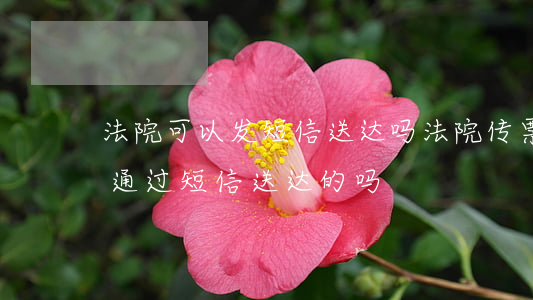 法院可以发短信送达吗(法院传票送达方式有通过短信送达的吗?)