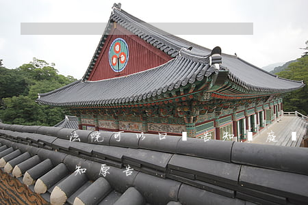 法院可以口頭告知開庭嗎(開庭以什么方式通知原告)