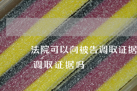 法院可以向被告调取证据吗(法院可以向被告调取证据吗)