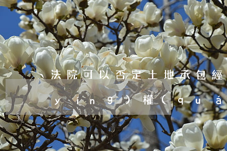 法院可以否定土地承包經(jīng)營(yíng)權(quán)證嗎(是否有土地承包權(quán))