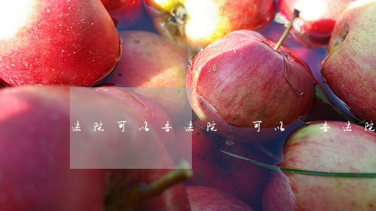 法院可以告法院嗎(可以狀告法院嗎)