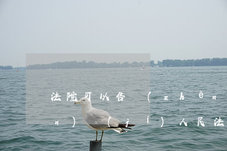 法院可以告鎮(zhèn)府嗎(鎮(zhèn)級(jí)人民法院還有嗎)