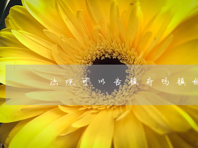 法院可以告镇府吗(镇级人民法院还有吗)