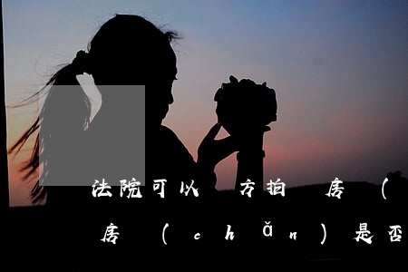 法院可以單方拍賣房產(chǎn)嗎(單套房產(chǎn)是否可以被法院執(zhí)行拍賣)