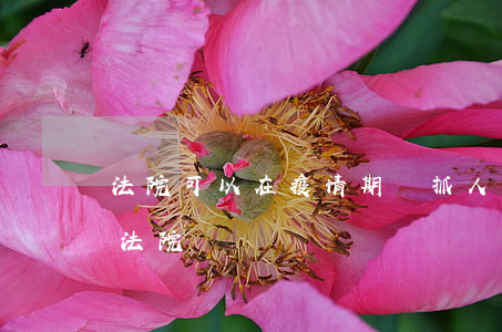 法院可以在疫情期間抓人嗎(因為疫情不能去法院)