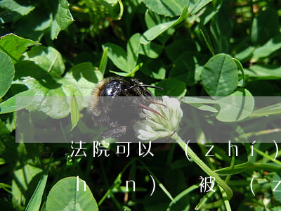 法院可以執(zhí)行一人公司財產(chǎn)嗎(被執(zhí)行人是公司法人,可以執(zhí)行公司財產(chǎn)嗎)