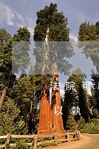 法院可以執(zhí)行保險賠償嗎(法院可以執(zhí)行保險賠償嗎)
