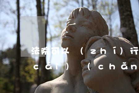 法院可以執(zhí)行個(gè)人財(cái)產(chǎn)嗎(被執(zhí)行人的夫妻財(cái)產(chǎn)可以執(zhí)行嗎)