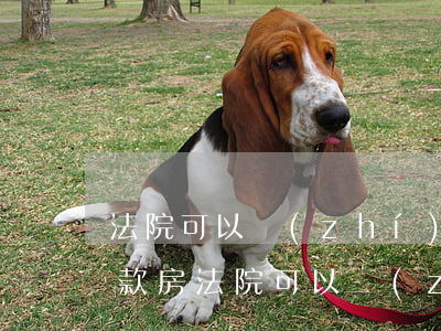 法院可以執(zhí)行個人銀行房貸嗎(貸款房法院可以執(zhí)行嗎)