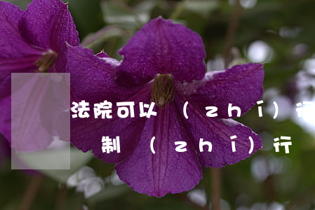 法院可以執(zhí)行個體工商戶嗎(法院強制執(zhí)行個體工商戶法人)