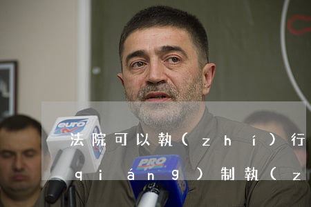 法院可以執(zhí)行公積金嗎(法院強(qiáng)制執(zhí)行可以執(zhí)行公積金嗎)