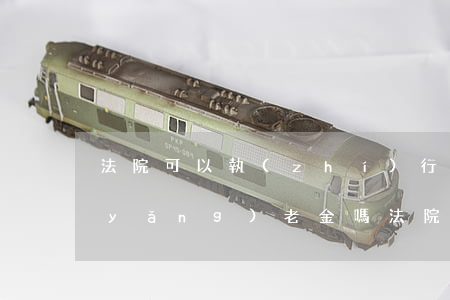 法院可以執(zhí)行商業(yè)養(yǎng)老金嗎(法院可以執(zhí)行養(yǎng)老金的賬戶嗎)