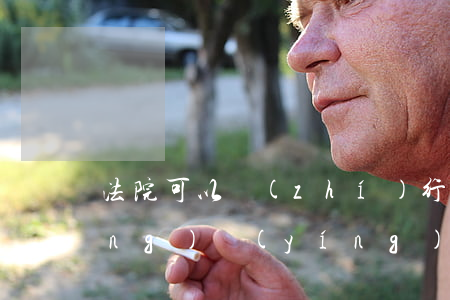 法院可以執(zhí)行土地承包經(jīng)營(yíng)權(quán)嗎(土地承包經(jīng)營(yíng)權(quán)糾紛可以直接起訴嗎)