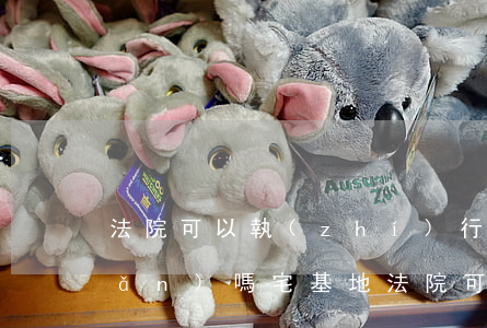 法院可以執(zhí)行宅基地房產(chǎn)嗎(宅基地法院可以強(qiáng)制執(zhí)行)