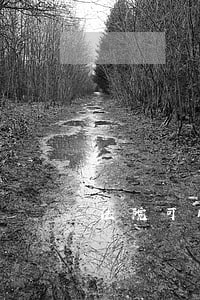 法院可以執(zhí)行宅基地買賣嗎