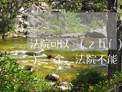 法院可以執(zhí)行專項(xiàng)資金嗎(法院不能強(qiáng)制執(zhí)行的資金有哪些)