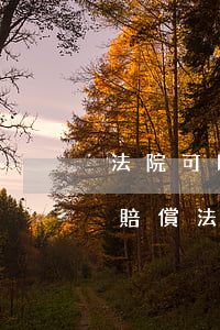 法院可以執(zhí)行工傷賠償金嗎(工傷賠償法院執(zhí)行不了怎么辦)