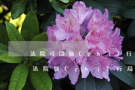 法院可以執(zhí)行微信支付寶余額嗎(法院執(zhí)行局可以凍結(jié)支付寶和微信嗎)