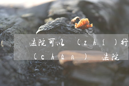法院可以執(zhí)行我和父母名下財產(chǎn)嗎(法院會強制執(zhí)行父母名下的房子么)