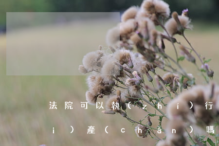 法院可以執(zhí)行我父母的財(cái)產(chǎn)嗎(法院可以執(zhí)行被執(zhí)行人父母的財(cái)產(chǎn)嗎)