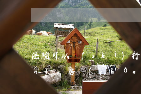 法院可以執(zhí)行抵押房產(chǎn)嗎(房產(chǎn)抵押貸款法院能強制執(zhí)行嗎?)
