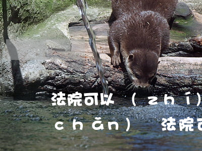 法院可以執(zhí)行未成年名下房產(chǎn)嗎(法院可以執(zhí)行未成年名下的房產(chǎn)嗎?)