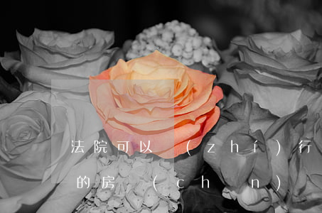 法院可以執(zhí)行沒有手續(xù)的房產(chǎn)嗎(沒有產(chǎn)權(quán)的房子法院能強制執(zhí)行嗎)