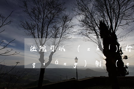 法院可以執(zhí)行社保嗎(法院能強(qiáng)制執(zhí)行社保嗎)