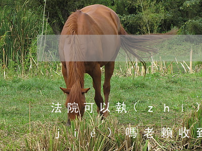 法院可以執(zhí)行老賴的支票凍結(jié)嗎(老賴收到法院傳票多久后開始強(qiáng)制執(zhí)行)