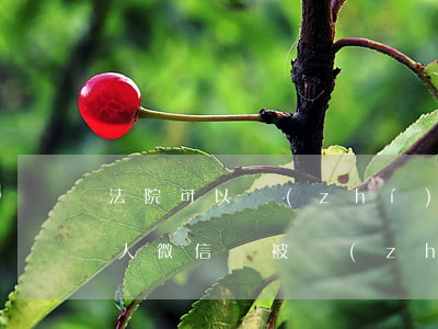 法院可以執(zhí)行被執(zhí)行人微信嗎(被執(zhí)行人可以用微信嗎)