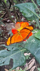 法院可以執(zhí)行貸款嗎(有過(guò)法院執(zhí)行的是不是永遠(yuǎn)不能貸款)