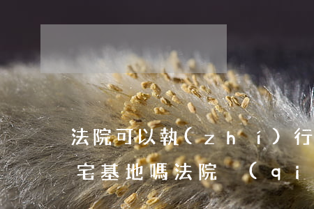 法院可以執(zhí)行農(nóng)村宅基地嗎(法院強(qiáng)制執(zhí)行會(huì)執(zhí)行農(nóng)村宅基地嗎)