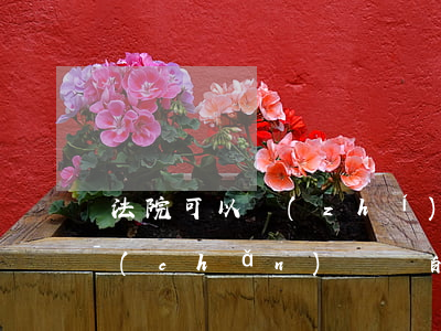 法院可以執(zhí)行這種房子嗎(有房產(chǎn)糾紛的房子法院能執(zhí)行嗎)