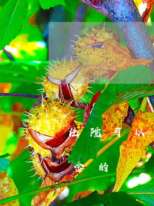 法院可以執(zhí)行養(yǎng)老金的賬戶嗎(養(yǎng)老金可以被法院執(zhí)行嗎?)