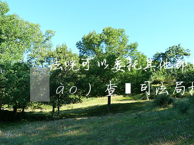 法院可以委托其他部門(mén)調(diào)查嗎(司法局接到法院的委托調(diào)查后應(yīng)該怎么做)