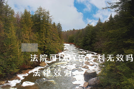 法院可以宣告专利无效吗(专利权无效宣告的法律效力)