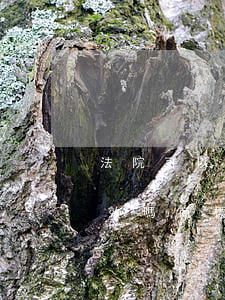 法院可以宣告商標(biāo)無(wú)效嗎(商標(biāo)被宣告無(wú)效的情形)