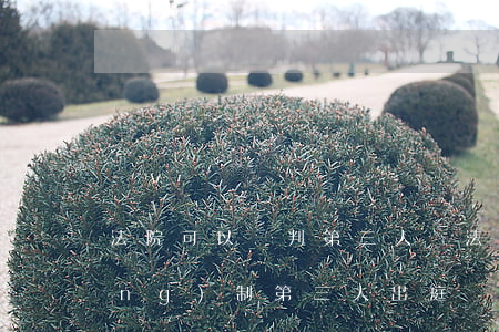 法院可以審判第三人嗎(法院可以強(qiáng)制第三人出庭嗎)