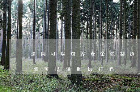 法院可以对养老金强制执行吗(养老保险金法院可以强制执行吗)