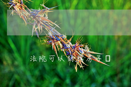 法院可以封我房子嗎