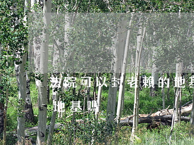 法院可以封老賴的地基嗎(法院可以封老賴的地基嗎)