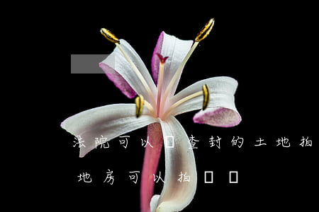 法院可以將查封的土地拍賣嗎(法院查封宅基地房可以拍賣嗎)