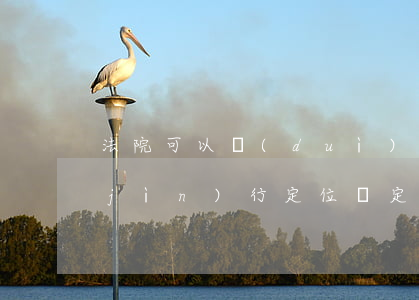 法院可以對(duì)車(chē)輛進(jìn)行定位嗎(定位他人車(chē)輛犯法嗎)