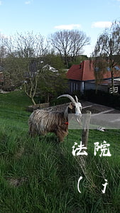 法院可以帶手機(jī)嗎(法院不讓帶手機(jī)合法嗎)