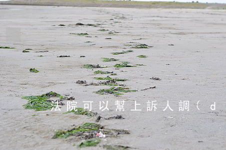 法院可以幫上訴人調(diào)查取證嗎