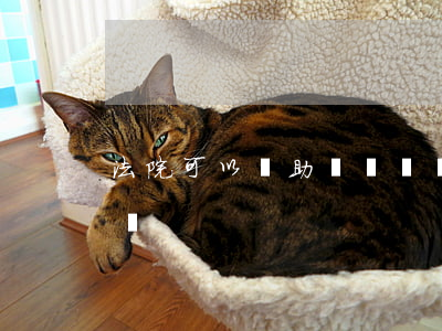 法院可以幫助寫訴狀嗎(可以自己寫訴狀起訴嗎)