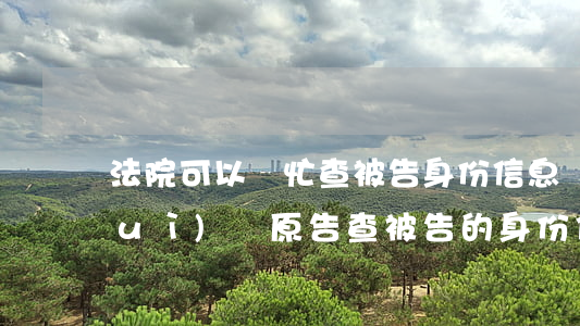 法院可以幫忙查被告身份信息嗎(法院會(huì)給原告查被告的身份信息嗎)