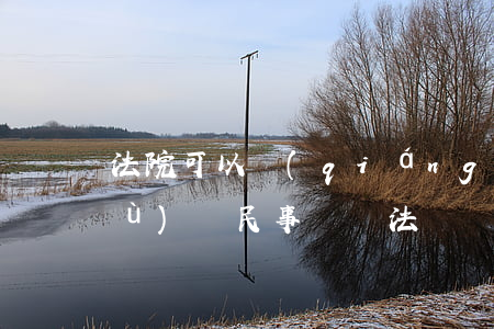 法院可以強(qiáng)制保全證據(jù)嗎(民事訴訟法證據(jù)保全規(guī)定)