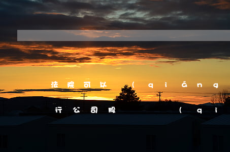 法院可以強(qiáng)制執(zhí)行公司股東嗎(強(qiáng)制執(zhí)行會(huì)執(zhí)行公司股份嗎)